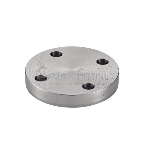 Lapped Flange Stainless Steel Flanges