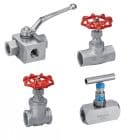 Stainless Steel Valves