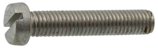 Slotted Cheese Head Screw