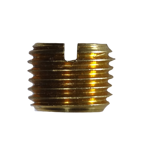 Plug Slotted Head